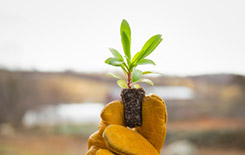 Sustainable investing